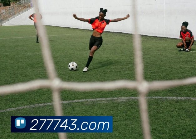 bwin必赢平台生态图